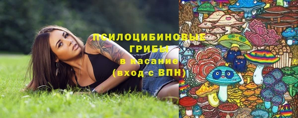 стаф Приозерск