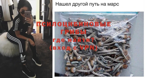 стаф Приозерск